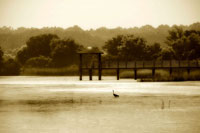 Lagoon II