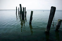 Pilings I