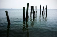 Pilings II
