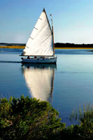 Friends on the Water