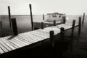 Waiting on the Fog II
