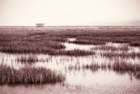 Retreat I