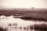 Retreat II