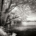 Spring on the River Square I
