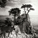 Ocean Cliff Square I