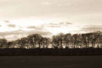 Winter Sunset Sepia I