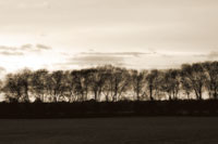 Winter Sunset Sepia II