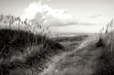 Dunes I bw