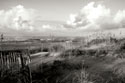Dunes II bw