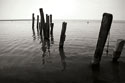 Pilings I bw