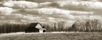 Cloudy Skies Panel II