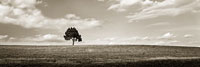 Cloudy Skies Panel III