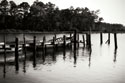 Forgotten Pier II