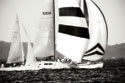 Race on the Chesapeake I