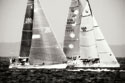 Race on the Chesapeake III