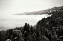 Pacific Fog II