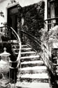 Savannah Style I