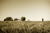 Goochland Farm II