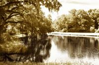 Mossy Lake I