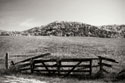 Autumn Pastures IV