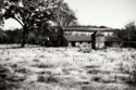 Fallow Fields I