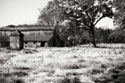Fallow Fields II