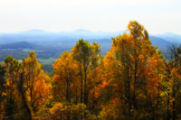 Shenandoah Valley I