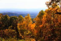 Shenandoah Valley II