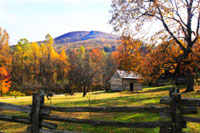 Homestead II