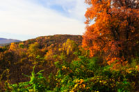 Rockfish Gap