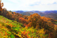 Sawmill Run