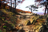 Stoney Ridge I