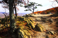 Stoney Ridge II