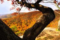 Wildcat Ridge I
