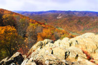 Wildcat Ridge IV