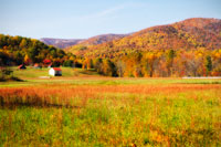 Autumn Fields I