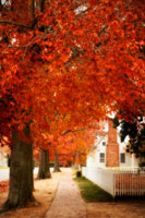 Small Town Autumn I