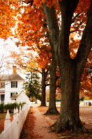 Small Town Autumn II