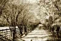Glen Allen Farm I