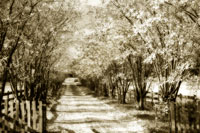 Glen Allen Farm II