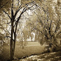 Hopewell Shores Sepia Sq I