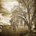 Hopewell Shores Sepia Sq II