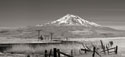 Mt. Shasta II