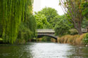 Avon River I