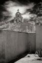 Mission San Xavier I