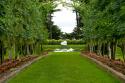 New Zealand Garden