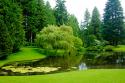 Bloedel Reserve II