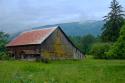 Barn in the Mist