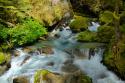 North Cascades NP I