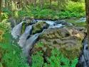 Port Angeles Falls I